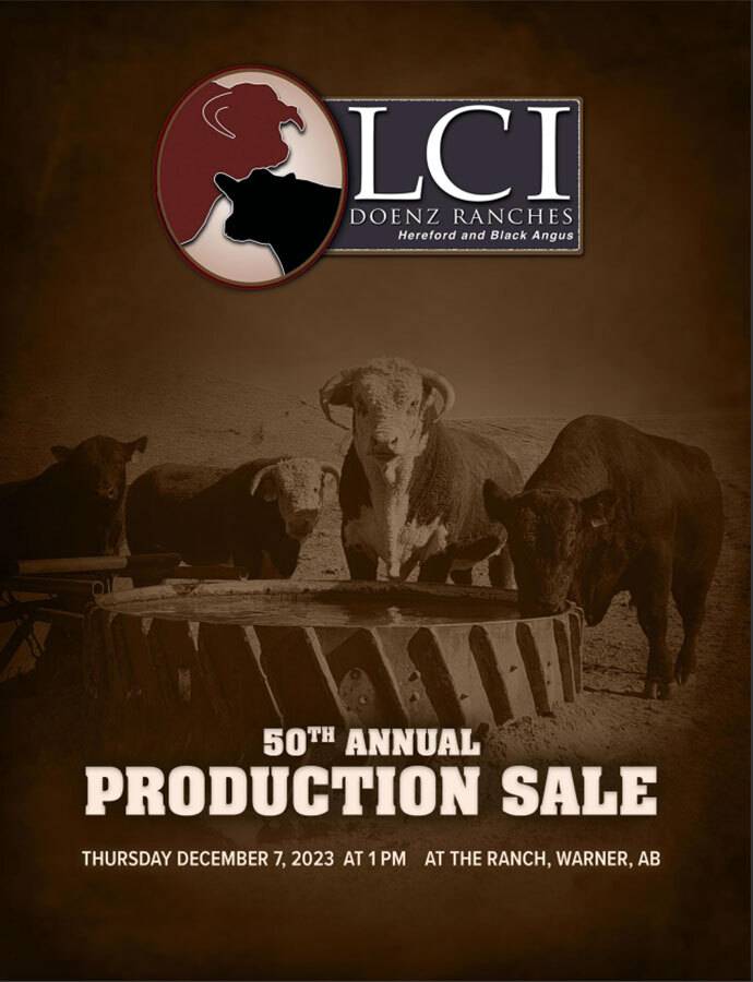 production sale catalogue cover